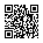 QR CODE 22