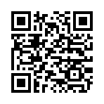 QR CODE 27