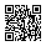 QR CODE 30
