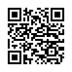 QR CODE 31