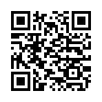 QR CODE 61
