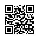 QR CODE 42