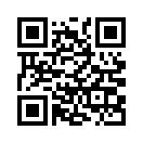 QR CODE 53