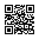 QR CODE 31