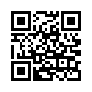 QR CODE 42