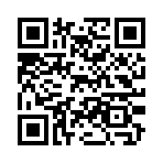 QR CODE 53