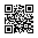 QR CODE 110