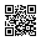 QR CODE 133