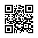 QR CODE 175