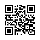 QR CODE 305