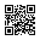QR CODE 347