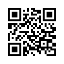 QR CODE 381