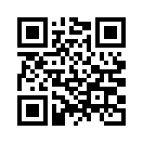 QR CODE 394
