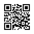 QR CODE 395