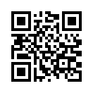 QR CODE 426