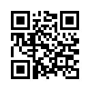 QR CODE 462