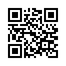 QR CODE 463