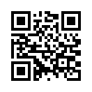 QR CODE 484