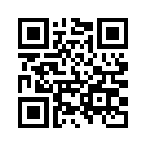 QR CODE 501