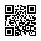 QR CODE 502