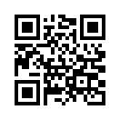 QR CODE 513