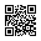 QR CODE 519