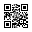 QR CODE 669