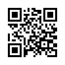 QR CODE 735