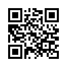 QR CODE 735