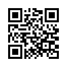 QR CODE 736