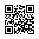 QR CODE 746