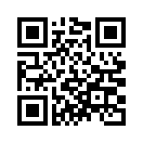 QR CODE 778