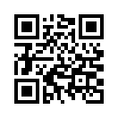 QR CODE 800
