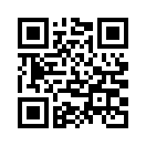 QR CODE 833