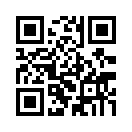 QR CODE 856