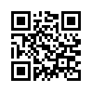 QR CODE 878