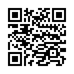 QR CODE 133