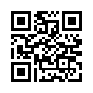 QR CODE 53