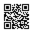 QR CODE 737