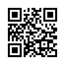 QR CODE 921