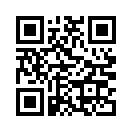 QR CODE 993