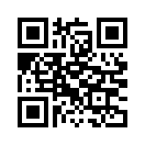 QR CODE 110