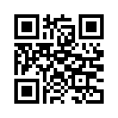 QR CODE 233