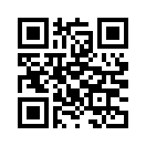 QR CODE 242