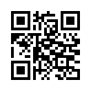 QR CODE 291