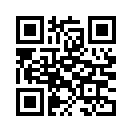 QR CODE 295