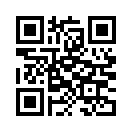 QR CODE 299