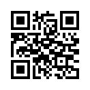 QR CODE 300