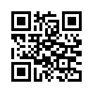 QR CODE 302