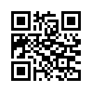 QR CODE 309